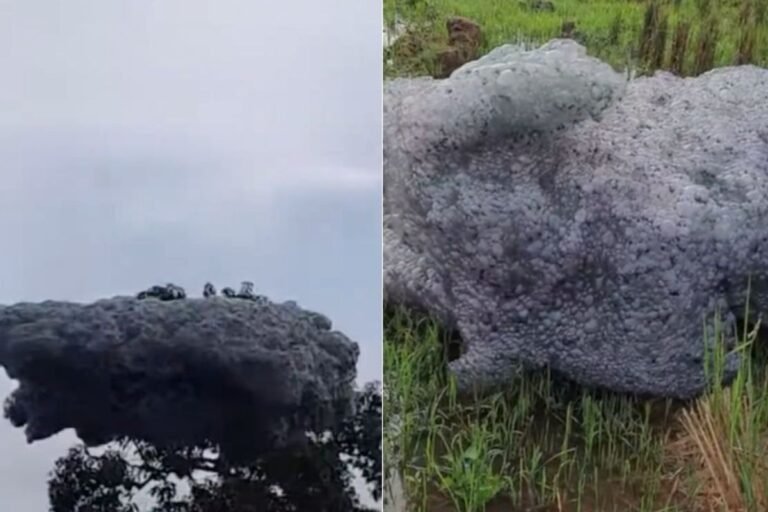 Gumpalan Hitam Misterius Di Subang Diperkirakan Busa Limbah Industri, BMKG Lakukan Tindak Lanjut